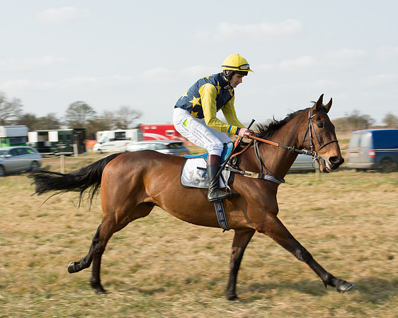 Race 2 - Open Maiden (15 of 101).jpg
