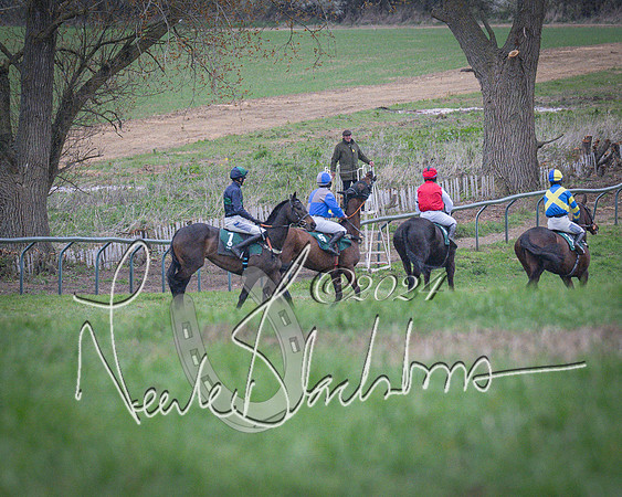 Race 7 - The Jockey Club maiden race for Mares and Fillies only (32 of 96)