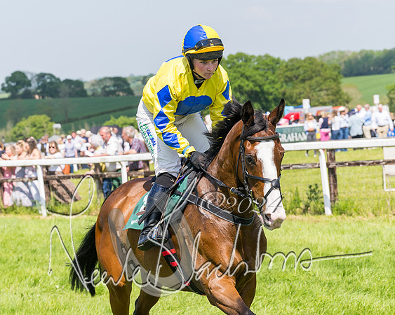 Race 2 - The Maiden  (101 of 442)