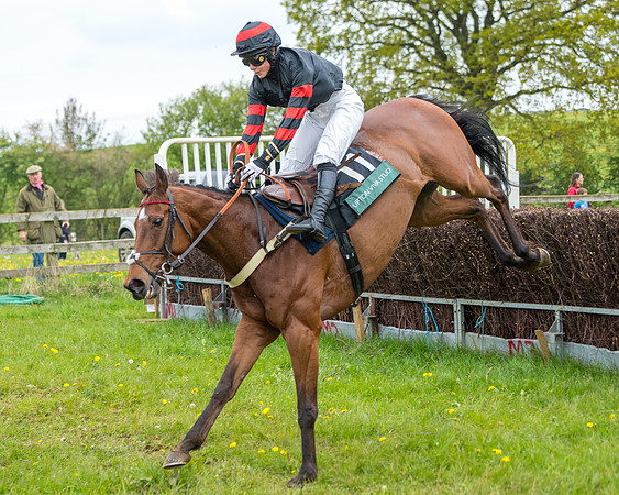 Race 2 - Jockey Club ROR veteran Horse (80 of 104)