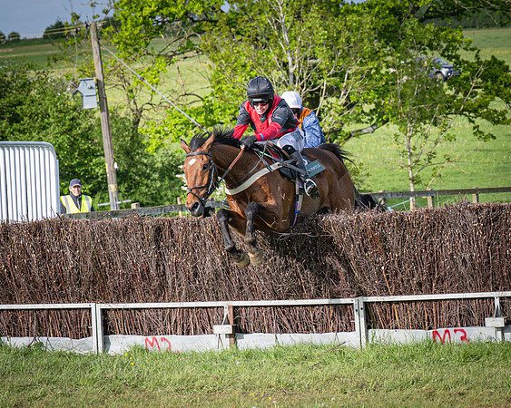 Race 7 - Walnut Hill PPORA club members maiden (61 of 104)