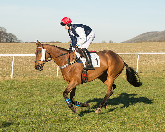 Race 5 - Bonhams Mens Open (3 of 58).jpg
