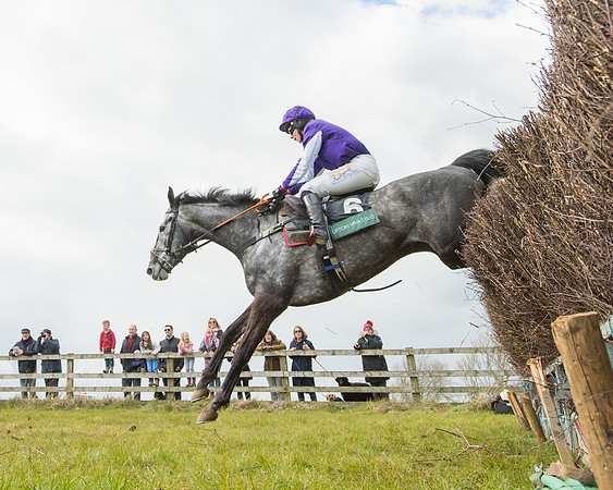 Race 5 - Restricted  (83 of 118)