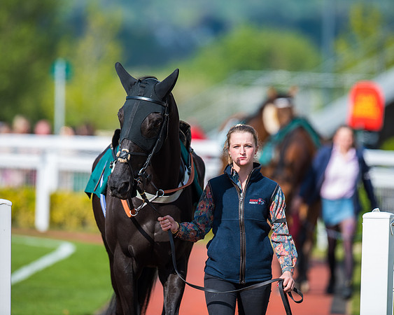 Race 1 - The open Hunter chase  (23 of 95)