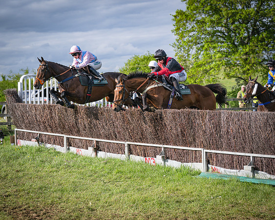 Race 7 - Walnut Hill PPORA club members maiden (13 of 104)