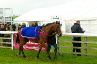 Race 6 - Intermediate 5