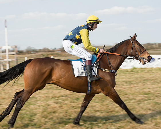 Race 2 - Open Maiden (18 of 101).jpg