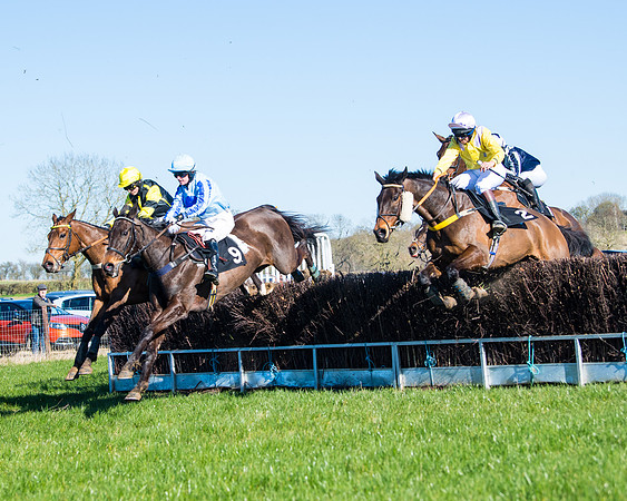 Race 4 - Ladies Open  (87 of 200)