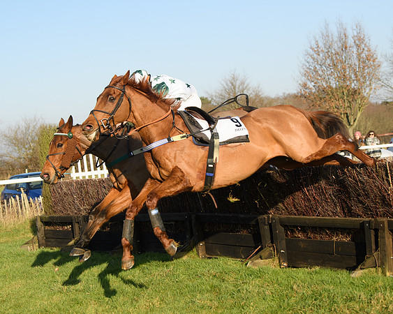 Race 2 - PPORA Novice Riders  (189 of 205)