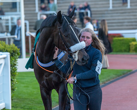Race 7 - Glos Hussars  (5 of 245)