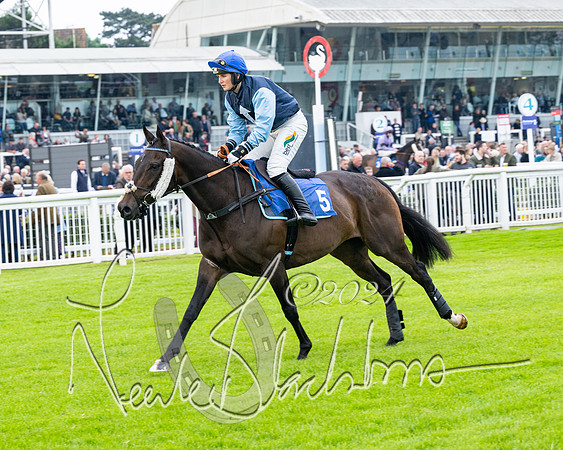 Race 3 - John Corbet Cup  (12 of 108)