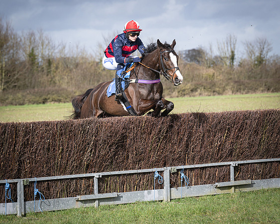 Race 3 - The Maiden Conditions (98 of 214)