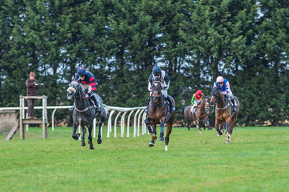 2 Mile 4 Furlong Maiden Race -23