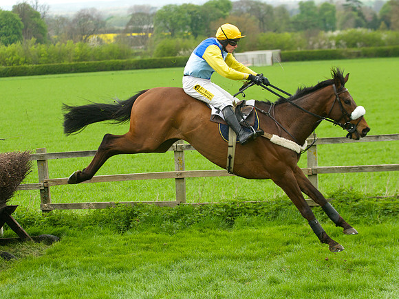 Kimblewick Hunts Point to Point at Kingston Blount Racecourse on Saturday 12th April 2014 Race 1 Confined Hunts Race.