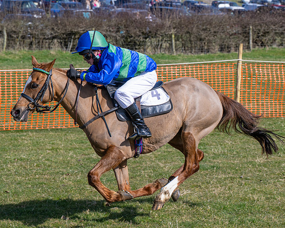 Pony Race 2 - 138cm (54 of 65)