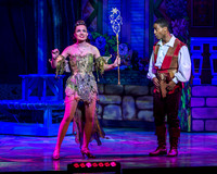 Swan Panto 2017