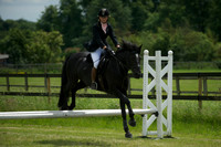 SOHS PC Summer Show at BCA 17th June 2012