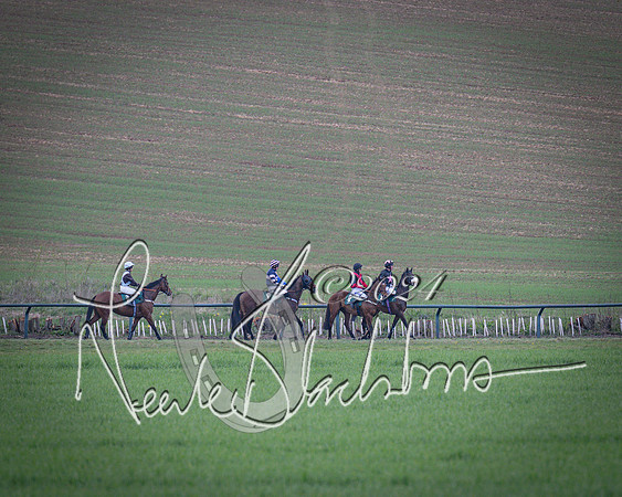 Race 3 - 5 years old and Over Maiden Race (29 of 130)