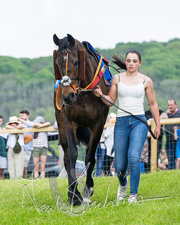 Race 2 - Restricted  (72 of 308)