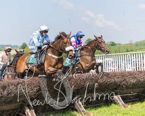 Race 2 - The Maiden  (247 of 442)