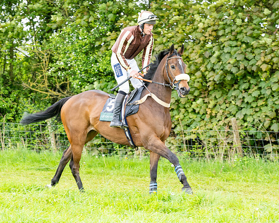 Race 2 - 2M4F Conditions (35 of 195)