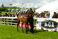 Race 3 - Aga Ladies Open 7