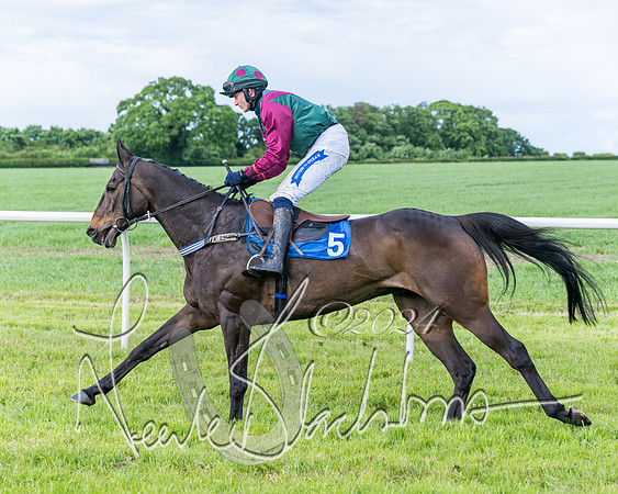 Race 5 - Restricted Race (120 of 434)