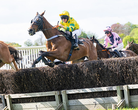 Race 4 -  2M4F Conditions  (56 of 102)