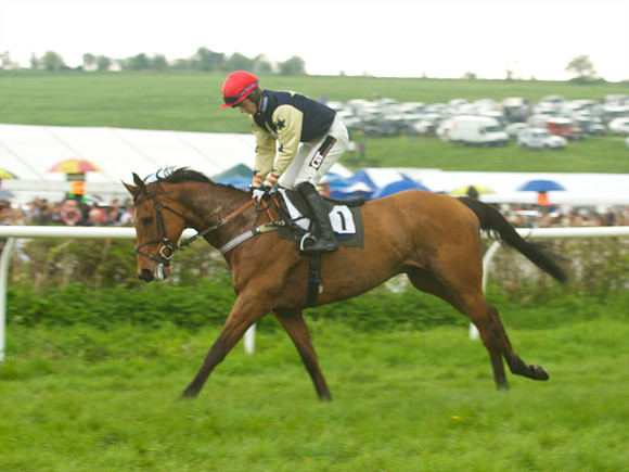 Old Berks at Lockinge Mixed Open Race