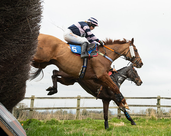 Race 2 - Veteran Horse (74 of 153)