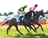 Race 2 - Open Maiden Div 2 (16 of 124).jpg
