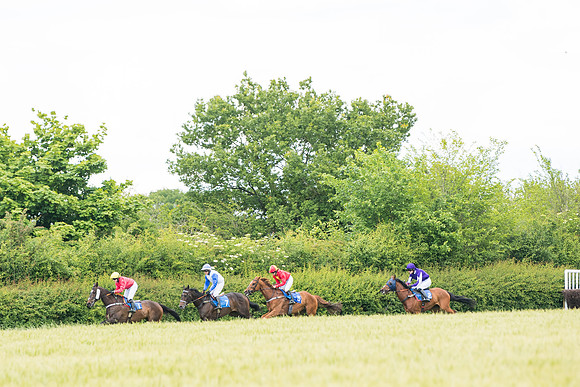 Race 5 - Restricted  (59 of 136)