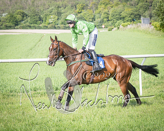 Race 6 - Thorn Plant Hire Maiden Race (30 of 129)