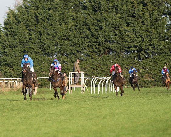 Mr Druid again-206