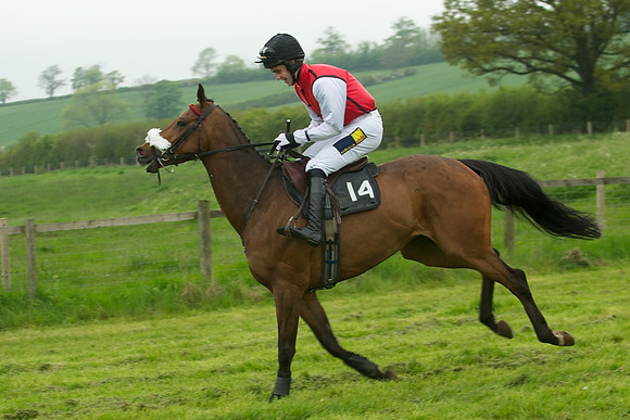 Race 5 - Restricted 26