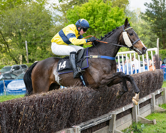 Race 5  - Maiden  (73 of 84)