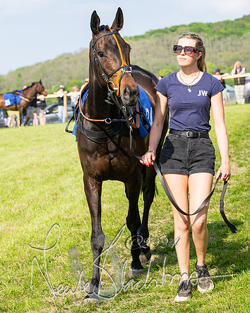 Race 5  - Maiden race 2m5F Div-2 (45 of 205)