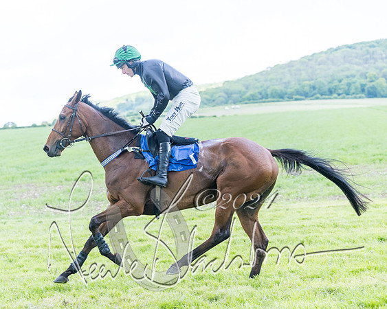 Race 3 - Conditions (90 of 367)