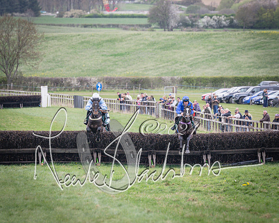 Race 2 - Tattersalls Cheltenham 4 year old Maiden (32 of 85)