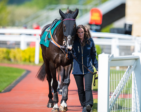 Race 1 - The open Hunter chase  (4 of 95)