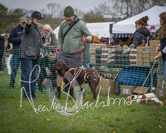 Bicester - Dog Show (44 of 106)