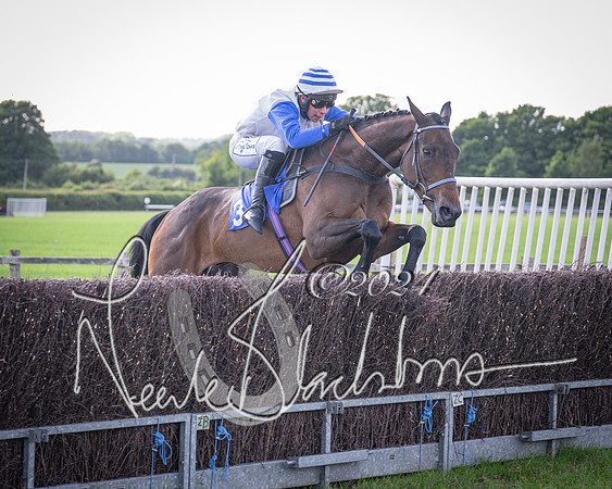 Race 6 - Thorn Plant Hire Maiden Race (84 of 129)