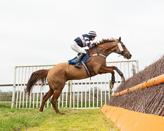 Race 2 - Veteran Horse (97 of 153)