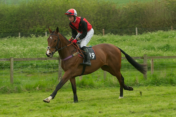 Race 5 - Restricted 29