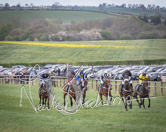 Race 3 - 5 years old and Over Maiden Race (38 of 130)