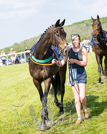 Race 5  - Maiden race 2m5F Div-2 (38 of 205)