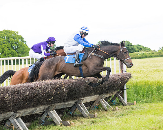 Race 5 - Restricted  (70 of 136)