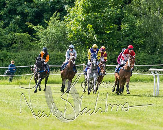 Race 5 - Restricted Race (189 of 434)