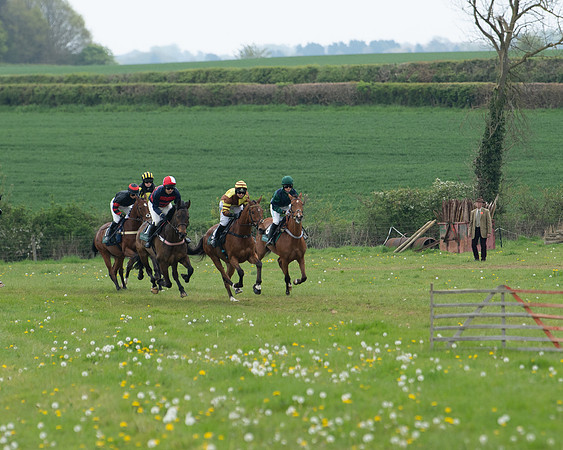 Race 2 - Jockey Club ROR veteran Horse (26 of 104)