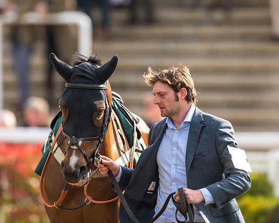 Race 2  -  Intermediate Point to Point Hunters' Steeple Chase (17 of 277)